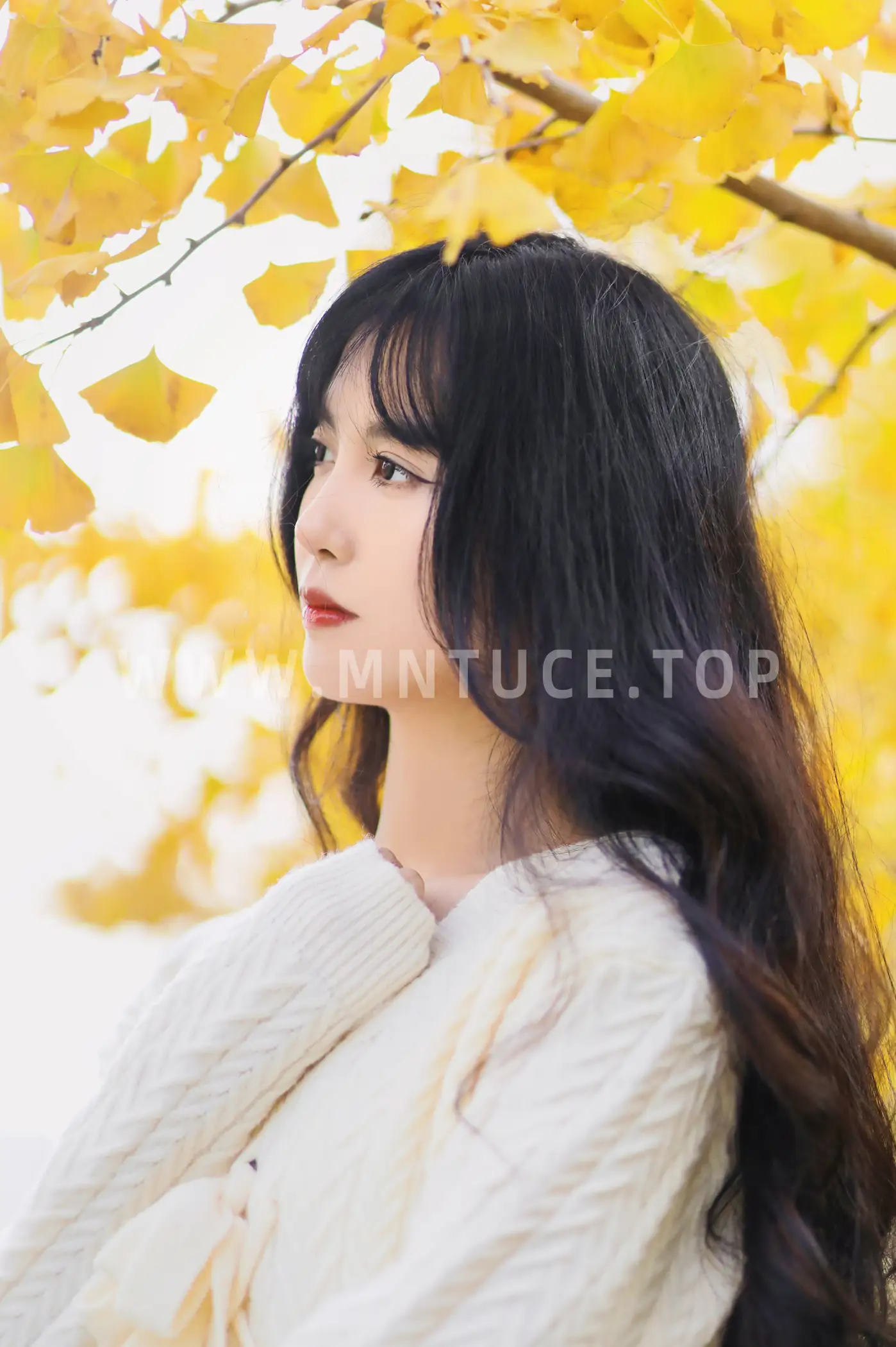 [YITUYU] 2022.11.19 Vol.2472 – Huaiqiu Light cherry blossom#[24P]-14